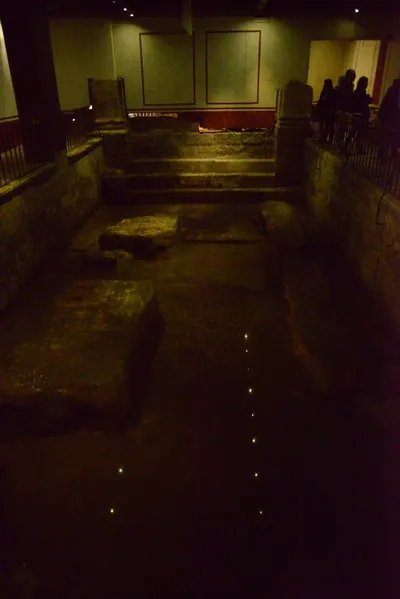 DSC_2655 (Large).JPG